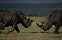 Explore Kenya: 5-Day Group Safari Adventure