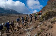 7 Day Tour Machame Route