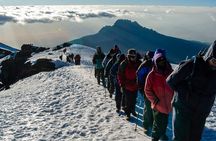 7 Day Tour Machame Route