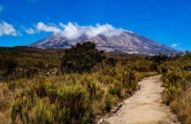 7 Day Tour Machame Route