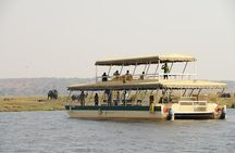 Chobe Day Trip from Livingstone
