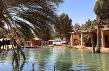 Private Sunset and Dinner Tour in Ksar Hallouf