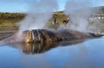 Private Silver Circle Tour of Iceland