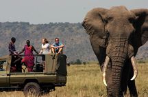5-Day Garden Route Safari & Botlierskop Game Reserve fro CapeTown