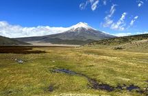 Full-Day Cotopaxi Volcano Tour from Quito – Nature & Hiking