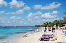 Snorkeling at Catalina Island & Altos de Chavón Full Day Tour