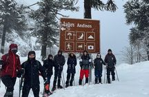Private Half Day Andean Lakes Experience with pickup