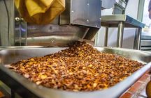 Bean to Bar Cocoa and Chocolate Workshop