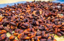Bean to Bar Cocoa and Chocolate Workshop