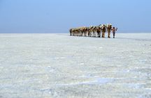 Danakil Depression 3 Day Adventure Group Tour