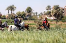 Private Horse ride Adventure in Luxor with professional guide