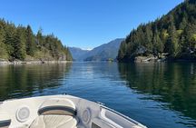 Granite and Silver Falls Private Boat Tour in Vancouver
