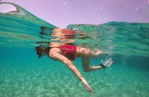 VIP San Juan: Snorkeling Tour with Turtles with Free Videos