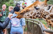 Nairobi National Park, Elephant Orphange and Girrafe Center