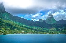 4 Hour Private Humpback Whales Encounter in Moorea