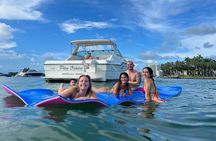 Private Yacht Rental Miami, Customizable Tours, Dolphin Watching