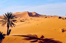 Best Merzouga 4x4 Desert Excursion With Local Guide