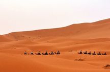 Best Merzouga 4x4 Desert Excursion With Local Guide