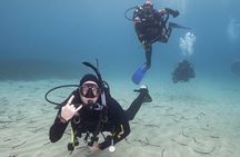 Guided SCUBA Diving for Certified Divers in Athens