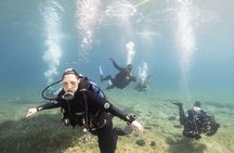 Guided SCUBA Diving for Certified Divers in Athens
