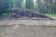 Half-day Ancient Ruins and Castles: Von Glehn Park, Padise, Rummu