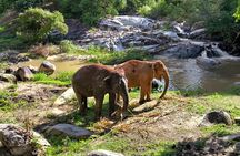Chiang Mai Half Day Elephant Sanctuary Observation and Waterfall