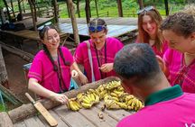 Chiang Mai Half Day Elephant Sanctuary Observation and Waterfall