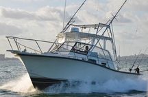 Bertram 35ft boat sport fishing cancun up to 6 passengers