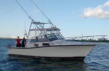 Bertram 35ft boat sport fishing cancun up to 6 passengers