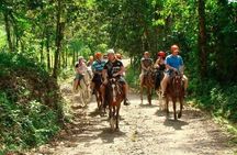Samana+Baracardi Island Tour And Lemon Jump From PUJ