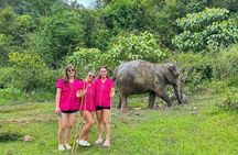 Chiang Mai: Thai Cooking Class and Elephant Sanctuary Observation