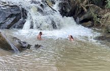 Chiang Mai Elephant Sanctuary Observation and Bamboo Rafting