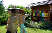 All About Bees Tour from Ljubljana