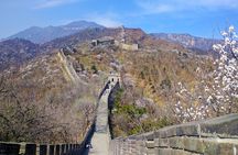 Mutianyu Great Wall&Summer Palace Excursion:Group/Private Options