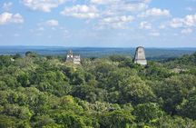 Tikal Private Tour from Flores Guatemala with Transportation