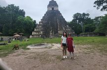 Tikal Private Tour from Flores Guatemala with Transportation