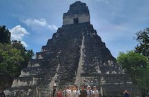Tikal Private Tour from Flores Guatemala with Transportation