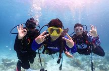 Kata Beach Diving for Beginners Pool Training and 1 Beach Dive