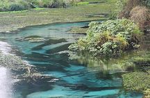 Private Tour Rotorua + Blue springs + WaiOtapu + Redwood forest