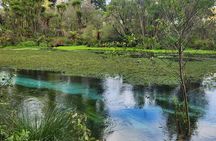 Private Tour Rotorua + Blue springs + WaiOtapu + Redwood forest