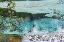 Private Tour Rotorua + Blue springs + WaiOtapu + Redwood forest