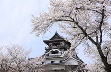 From Nagoya: Samurai Swords and Japan Oldest Castle