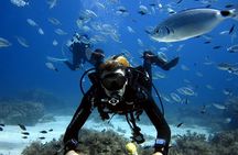 Discover Scuba Diving Experience