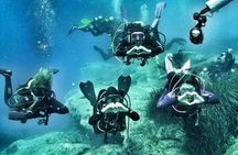 Discover Scuba Diving Experience