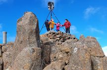 Mount Wellington Pinnacle 2 Hours Small Group Tour