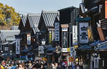 Ise’s Sacred Shrines and Captivating Coastlines - From Nagoya