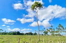 Tongatapu Island Tour