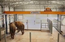 From Delhi: Taj Mahal Tour with Elephant Conservation Centre