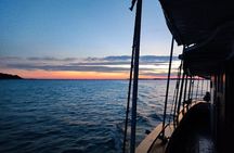 Dolphin & Sunset tour with Brijuni panorama