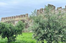 Thessaloniki Old Town Culture and Nature Herbal Walk 